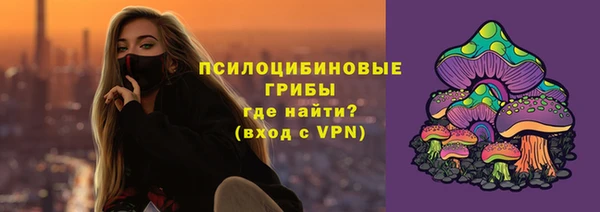 ECSTASY Богданович