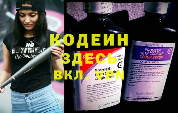 ECSTASY Богданович