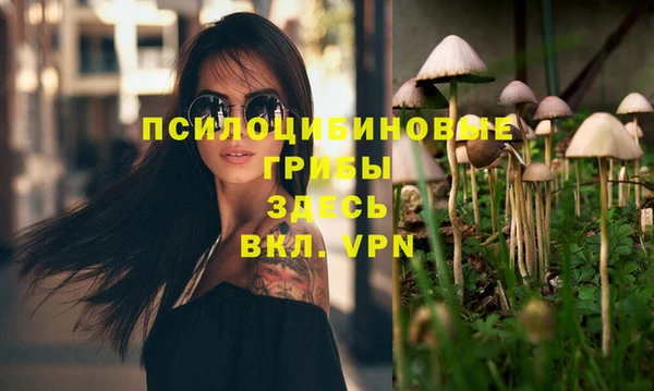ECSTASY Богданович