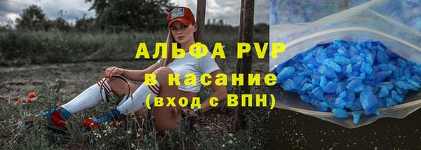 ECSTASY Богданович