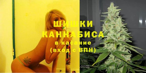 ECSTASY Богданович