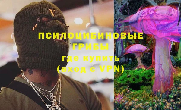амф Богородицк